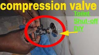 Shut-off Toilet Compression Valve Installation DIY