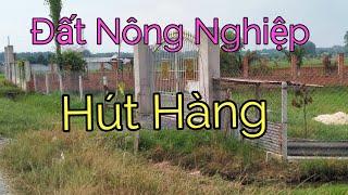 Đất Nông Nghiệp Hấp Dẫn Người Saigon. Vì Sao?