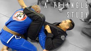 Brazilian Jiu Jitsu | A Triangle Study | Seminars | ROYDEAN