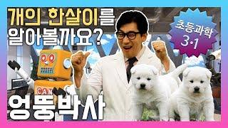 개의 한살이를 알아볼까요? 초등3학년 과학, 실험, 인강