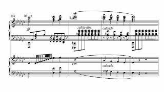 Two piano reduction of the first movement of my piano concerto (live performance)