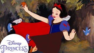 Snow White Sings With Animals in the Forest | Disney Princess