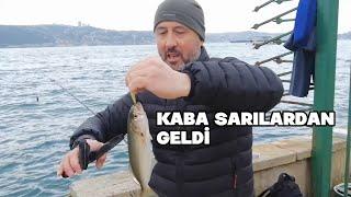 Artık çinekoplar çekiliyor. Her merada Yapmaz. istavrit ve Sardalye  Yakın da Yapmaya Başlar.