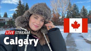 LIVE FROM THE SNOWY TUNDRA OF CALGARY  | Walking Tour of Alberta’s Biggest City