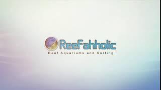 ReefAhholic Intro 3.1