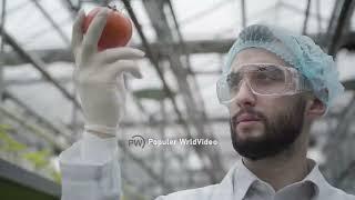 Saudi Arabian farming technique shocked the Western world. Agriculture latest technology.