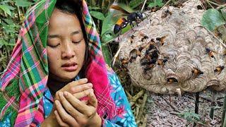 Single mother: Going into the deep forest alone - attacked by the most dangerous bees