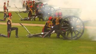 The King's Troop Royal Horse Artillery