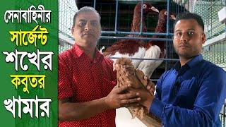 অবসরে কবুতর খামার | Pigeons Farm  in BD | Kobutor Palon Bangladesh 2020 @SafolloKotha Ep 192