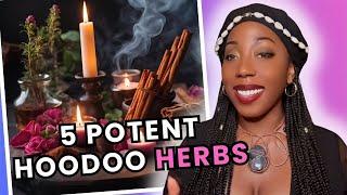 5 Magical Hoodoo Herbs To Attract Money, Love, Protection And Success