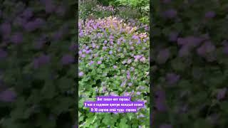 Садовый центр Gardens. «Лесной городок», Одинцово. 3 гектара ! +7 903 672 48 53 www.gardens.ru