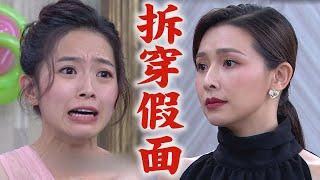 【一家團圓】EP108 霏霏假面被拆穿自賞巴掌 求情不成被上銬帶走│Family Reunion