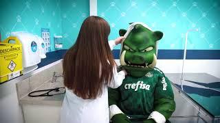 MASCOTES DO PALMEIRAS NO NOSSO VET