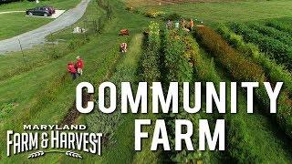 A Community Farm Makes a Difference | Maryland Farm & Harvest