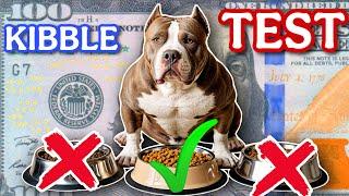 American Bullies Deserve BEST Dog Food We Tested Top Brands