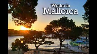 Winter day on Majorca / Wintertag auf Mallorca!