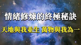 如何在情緒中完成修煉？情緒修煉的終極秘訣：天地與我並生，萬物與我為一！#能量#業力 #宇宙 #精神 #提升 #靈魂 #財富 #認知覺醒 #修行