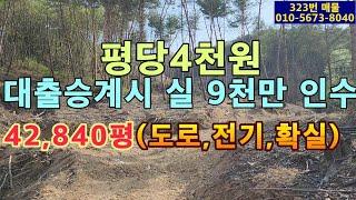 (323번 매물)평당 4천원.임야.대출8천만원 승계시 실인수금액은 9천만원.대형차량통행가능한 임도 접.전기있음.임산물이나 염소사육 최적지.밭으로 활용가능한 부분도 있음.