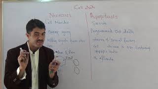 Necrosis and apoptosis urdu hindhi by dr Hadi