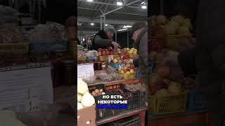 Сколько гродненцев неправильно выгуливают собак и что за это грозит?  #гродно #беларусь #собаки