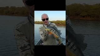 Рыбачим в КолумбииFishing in Columbia #рыбалка #авторскиетуры #трофей #жизнь