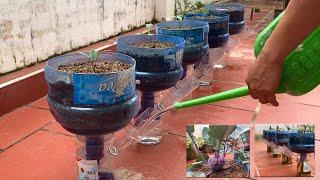 Tips for growing vegetables at home   Create your own automatic watering system