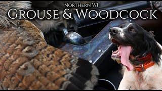 Grouse & Woodcock Hunting Northern WI: English Setter