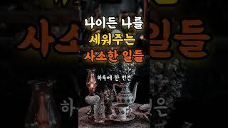 나이든 나를 세워주는 사소한 일들 인생조언 명언 철학 삶의지혜 좋은글 인간관계 중년의삶 인생명언 중년명언 인간관계 오디오북 인생명언#명언#좋은글 #중년조언#지혜