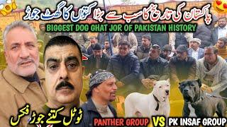 Biggest Dog Ghat Jor Of Pakistan History || Panther Group vs Pk Insaf Group || All Record Break