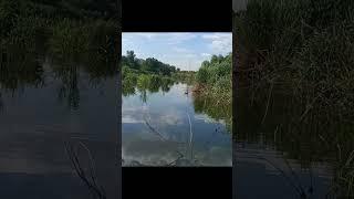 #fishing #дом #гадка #запорожье #украина #утки #топ #рекомендации