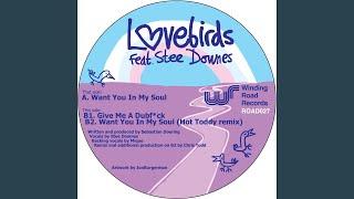 Want You In My Soul (feat. Stee Downes)