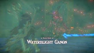 Zelda: BOTW (Waterblight Ganon Rematch In The Illusory Realm) DLC Pack 2