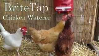 BriteTap Auto Chicken Nipple Waterer Quick Overview