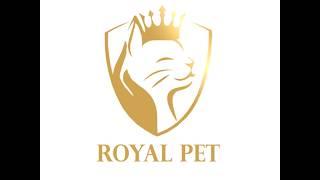 Vitamin Kucing Terbaik - Royal Pet