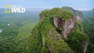 COLOMBIA SALVAJE: ESPECIAL CHIBIRIQUETE - NATGEO WILD