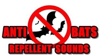 Anti Bats Repellent Sounds - Sound To Repel Bats #AntiBats #NoBats #StopBats