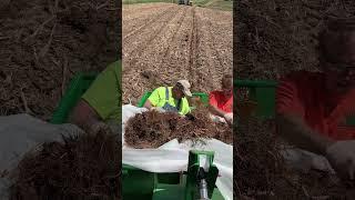 Extreme Custom Food Plots planting Real World Wildlife  Giant Miscanthus