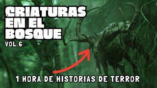 1 HORA  de Historias de CRIATURAS EN EL BOSQUE / 12 Relatos de Terror