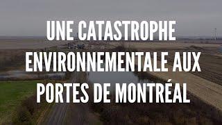 Lagunes de Mercier: une catastrophe environnementale aux portes de Montréal