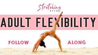 How I Got Flexible as a BEGINNER | Follow Along | aerial practice