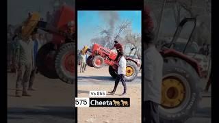 Mahindra 575 tochan king vs swaraj 855 #tochan#shortvideo #tractor #tractorstunt #trendingvideo