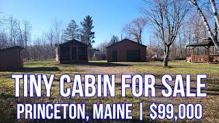 400-sqft Tiny Cabin | Maine Real Estate