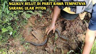 NGUKUY BELUT DI PARIT RAWA YANG PENUH SEMAK || HASILNYA MEMUASKAN