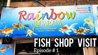 Visit Rainbow Aquarium Fish Shop | Lalukhet Aquarium Market - Imran's World