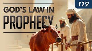 God’s Law in Prophecy