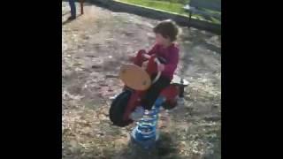 Zohar in the park