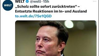 Elon Musk legt nach und sehr zu recht!