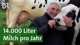 Holstein Friesians: Kühe von Weltklasse mit hoher Milchleistung | Kuhmilch | Unser Land | BR