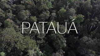 Natura Ekos Patauá