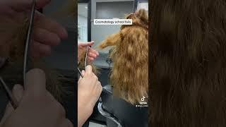 My favorite cosmetology school fails #cosmetologystudent #fail #throwback #hair #cosmetologyschool